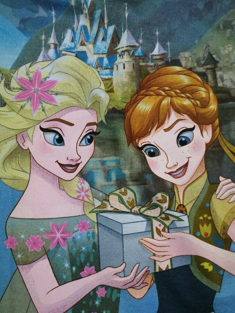 T-särk tüdrukutele Disney Frozen, sinine цена и информация | Tüdrukute särgid | kaup24.ee