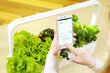 Smart Garden Click & Grow 9 Pro hind ja info | Nutipotid ja taimelambid | kaup24.ee