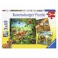 Ravensburger pusle 3x49 tk Maailmaloomad hind ja info | Pusled | kaup24.ee