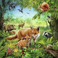 Ravensburger pusle 3x49 tk Maailmaloomad hind ja info | Pusled | kaup24.ee