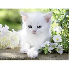 Пазл Ravensburger, 1500 деталей, белый котёнок цена и информация | Пазлы | kaup24.ee