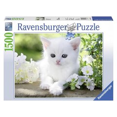 Ravensburger pusle 1500 tk Valge kassipoeg hind ja info | Pusled | kaup24.ee