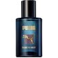 Tualettvesi Puma Shake The Night EDT meestele 50 ml hind ja info | Meeste parfüümid | kaup24.ee