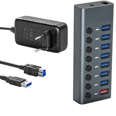 Reagle USB 3.1 PRO aktiivne 8-portiline USB-A adapter 36W цена и информация | Адаптеры и USB-hub | kaup24.ee