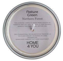 Lõhnaküünal klaasis Nature Green H9,5cm, Northern Forest цена и информация | Подсвечники, свечи | kaup24.ee