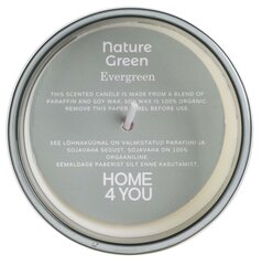 Lõhnaküünal klaasis Nature Green H9,5cm, Evergreen hind ja info | Küünlad, küünlajalad | kaup24.ee