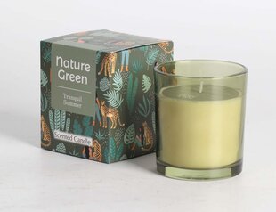 Lõhnaküünal klaasis Nature Green H9,5cm, Tranquil Summer hind ja info | Küünlad, küünlajalad | kaup24.ee