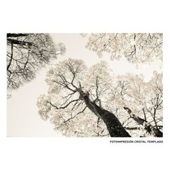 Картина Деревья цена и информация | Картины, живопись | kaup24.ee