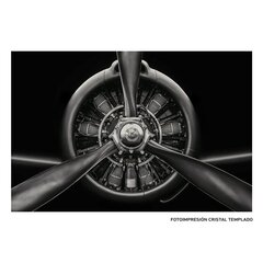 Maal Propellerid 120 x 4 x 80 cm hind ja info | Seinapildid | kaup24.ee