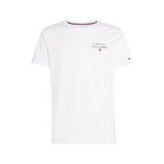 Футболка мужская Tommy Hilfiger 79650, белая цена и информация | Мужские футболки | kaup24.ee