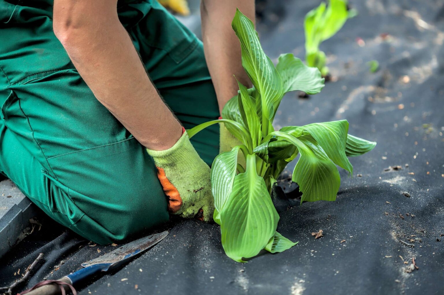 Agrotekstiil 1,6 x 100 m hind ja info | Aiatööriistad | kaup24.ee