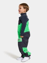 Детские утепленные брюки Didriksons весна-осень CLOUD, зелено-черный цвет цена и информация | Штаны для мальчика Nini | kaup24.ee