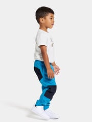 Didriksons весенне-осенние детские штаны softshell BLÅBÄR, синего цвета цена и информация | Штаны для мальчика Nini | kaup24.ee