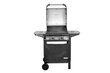 Gaasigrill Hecht Fire 2 hind ja info | Grillid | kaup24.ee