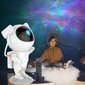 Öövalgusprojektor lastele Led Laser Astronaut hind ja info | Peokaunistused | kaup24.ee