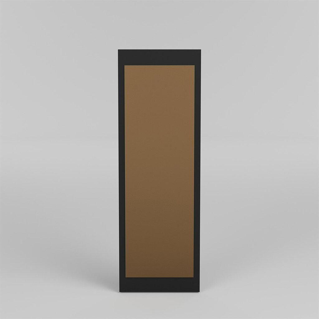 Peegel, Asir, 34x105 cm, kuldne/must hind ja info | Peeglid | kaup24.ee