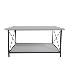Кофейный столик, Асир, 110x50x50 см, белый/черный цена и информация | Журнальные столики | kaup24.ee