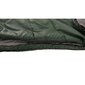 Magamiskott Easy Camp Orbit 400, 225x80 cm, roheline цена и информация | Magamiskotid | kaup24.ee