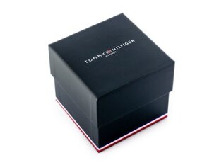 Käekell meestele Tommy Hilfiger 1791121 цена и информация | Мужские часы | kaup24.ee