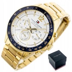 Käekell meestele Tommy Hilfiger 1791121 цена и информация | Мужские часы | kaup24.ee