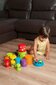 Miniland kuubikud ja ämber hind ja info | Imikute mänguasjad | kaup24.ee
