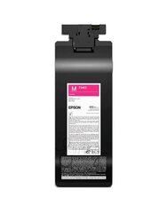 Epson UltraChrome DG2 Magenta T54L300 цена и информация | Картриджи и тонеры | kaup24.ee