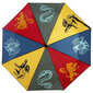 Harry Potteri vihmavari hind ja info | Laste aksessuaarid | kaup24.ee
