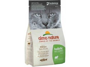 Almo Nature täiskasvanutele Anti-hairball lõhega, kuiv kassitoit, 400 g цена и информация | Сухой корм для кошек | kaup24.ee