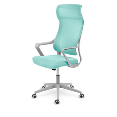 Офисное кресло, Sofotel Labi, мятный цвет цена и информация | Офисные кресла | kaup24.ee