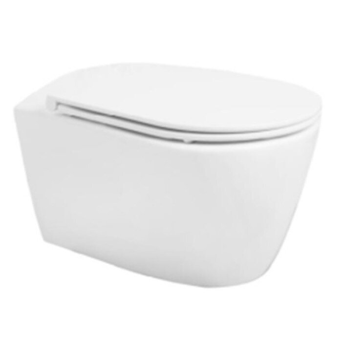 Seinapealne wc-pott TWH1088 Rimless hind ja info | WС-potid | kaup24.ee