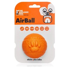 Pall Explorer Dog, 8 cm цена и информация | Игрушки для собак | kaup24.ee