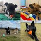 Pall Explorer Dog, 8 cm цена и информация | Mänguasjad koertele | kaup24.ee