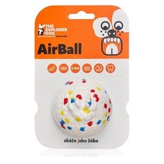 Pall Explorer Dog, 8 cm цена и информация | Игрушки для собак | kaup24.ee