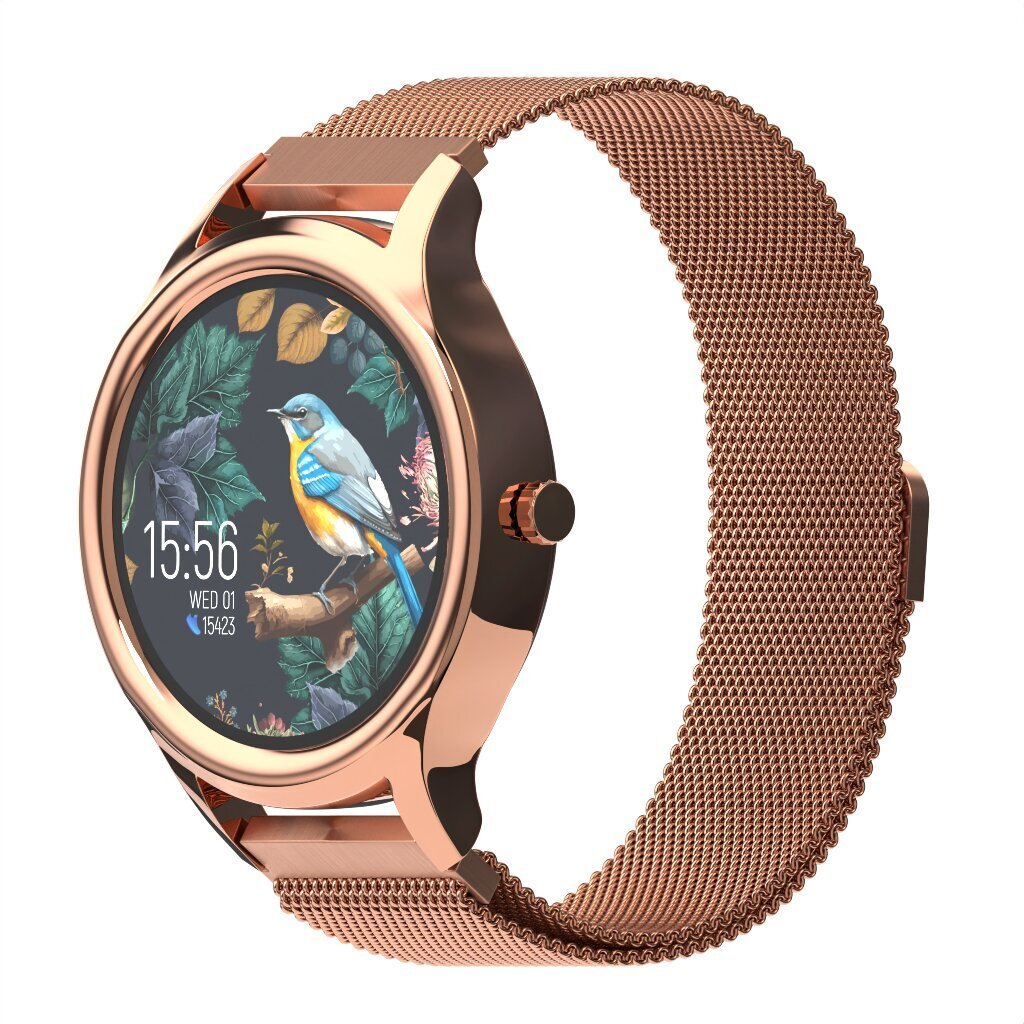 Forever ForeVive 3 SB-340 Gold hind ja info | Nutikellad (smartwatch) | kaup24.ee