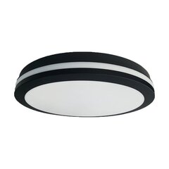 Потолочный светильник Eko-Light Marlon EKP0476 цена и информация | Потолочные светильники | kaup24.ee