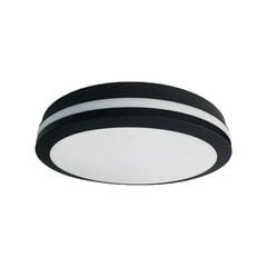 Eco-Light laevalgusti Marlon EKP0474 hind ja info | Laelambid | kaup24.ee