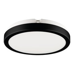 Потолочный светильник Eko-Light Vera EKP0471 цена и информация | Потолочные светильники | kaup24.ee