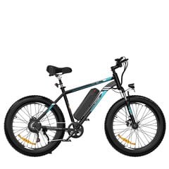 Электровелосипед Hitway BK15, 26", черный, 250Вт, 15Ач цена и информация | Электровелосипеды | kaup24.ee