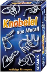 Metallist mõistatused цена и информация | Конструкторы и кубики | kaup24.ee