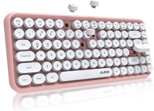Клавиатура Felicon 308i цена и информация | Клавиатуры | kaup24.ee