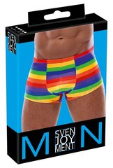 Трусы Svenjoyment, XL, разные цвета цена и информация | Сексуальное бельё для мужчин | kaup24.ee
