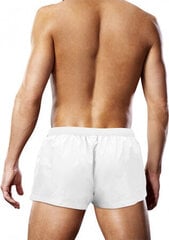 Ujumispüksid Prowler Swim Trunk hind ja info | Ujumispüksid, shortsid | kaup24.ee