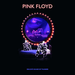 2CD PINK FLOYD Delicate Sound Of Thunder (Live) CD цена и информация | Виниловые пластинки, CD, DVD | kaup24.ee