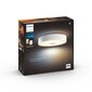 Philips Hue White Ambiance Fair laevalgusti hind ja info | Rippvalgustid | kaup24.ee