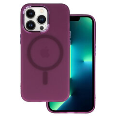 Магнитный матовый чехол для Iphone 11 Pro Фиолетовый цена и информация | Чехлы для телефонов | kaup24.ee