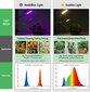 Testyu LED taimevalgusti, täisspektriga valgustus toataimedele, hõbedane цена и информация | Nutipotid ja taimelambid | kaup24.ee