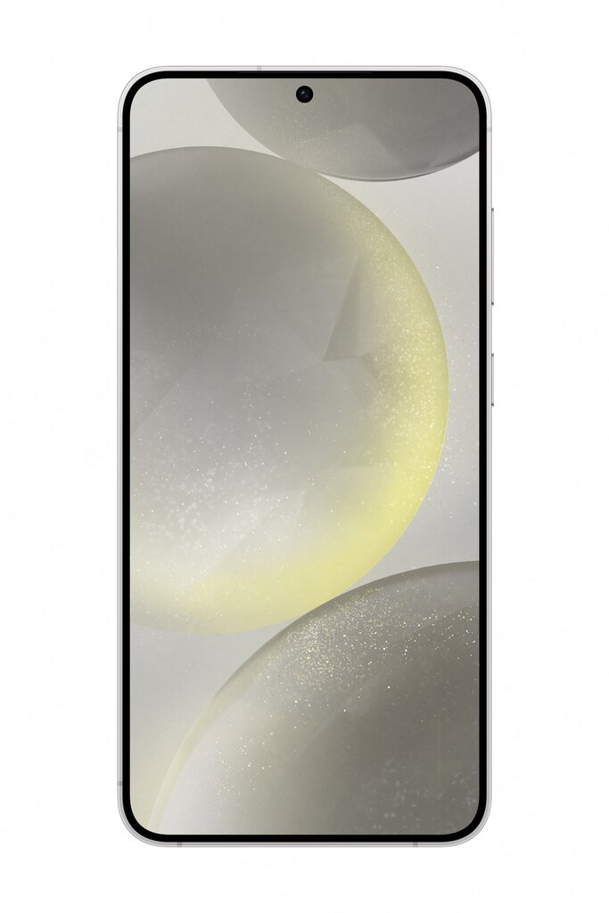 Samsung Galaxy S24+ 5G 12/512GB Marble Gray цена и информация | Telefonid | kaup24.ee