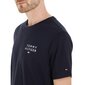 Tommy Hilfiger T-särk meestele 79652, valge hind ja info | Meeste T-särgid | kaup24.ee