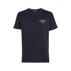 Tommy Hilfiger T-särk meestele 79652, valge цена и информация | Мужские футболки | kaup24.ee