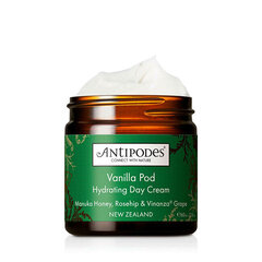 Päevakreem Antipodes Vanilla Pod Day Cream, 15ml цена и информация | Кремы для лица | kaup24.ee